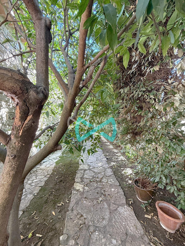 Maison ancienne - 175 m² - 6 pièces