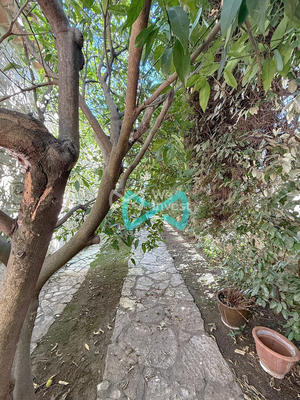 Maison ancienne - 175 m² - 6 pièces