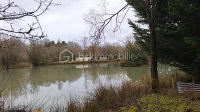Étang - 81 372 m²