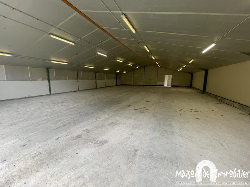 Entrepôt - 250 m² - 1 pièce