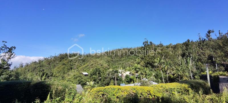 Villa - 164 m² - 5 pièces