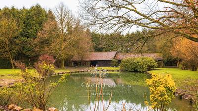 Propriété - 395 m² - 9 pièces