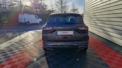 Ford Kuga 2.5 Duratec 190 Ch Flexifuel Fhev E85 Powershift St-Lin