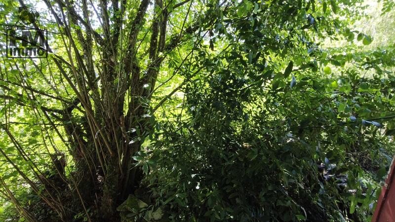 Maison - 78 m² - 5 pièces