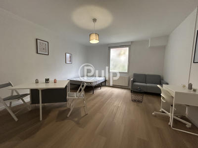 Studio - 35 m² - 1 pièce