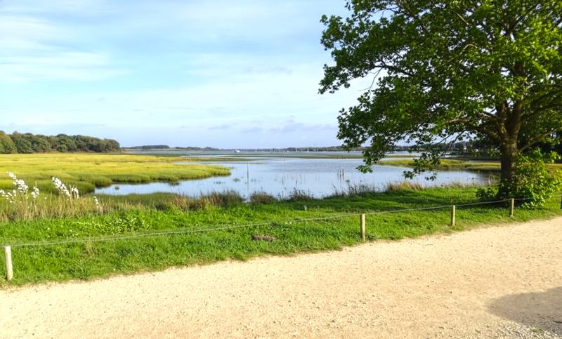 Duplex - 70 m² - 4 pièces