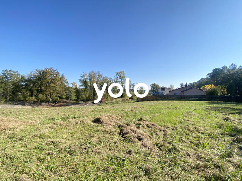 Terrain - 1 193 m²