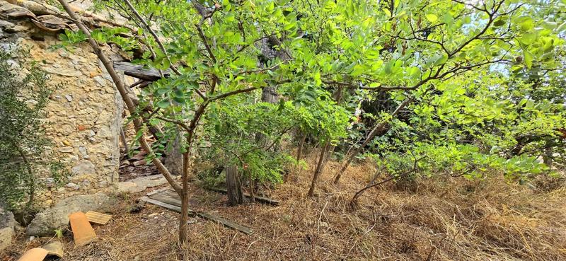 Appartement atelier - 59 m² - 1 pièce