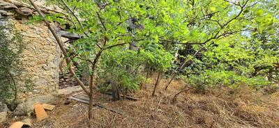 Appartement atelier - 59 m² - 1 pièce