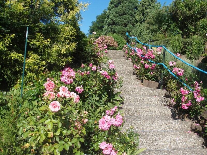 Maison - 742 m² - 32 pièces