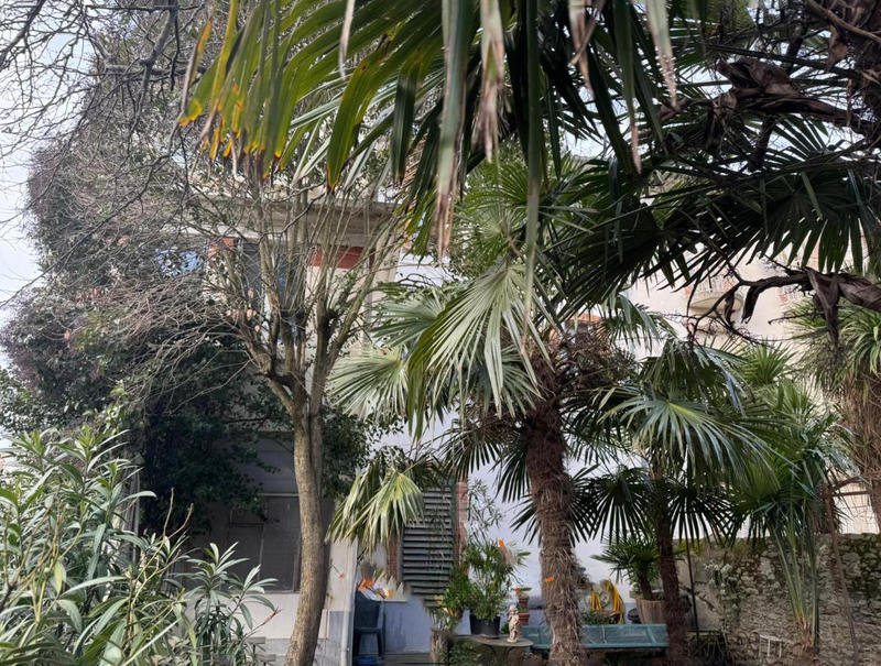 Maison - 256 m² - 9 pièces