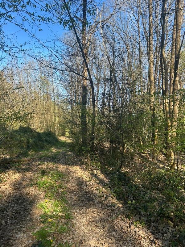 Terrain de loisirs - 16 366 m²