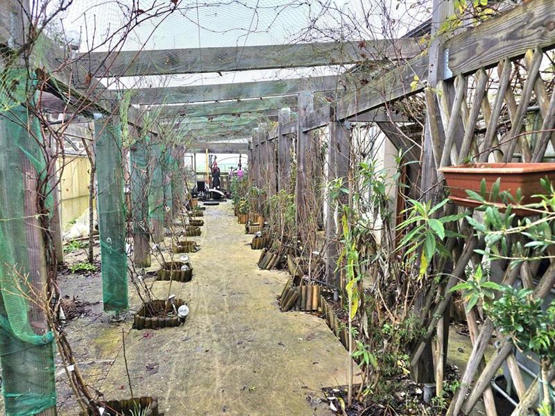 Maison - 184 m² - 7 pièces