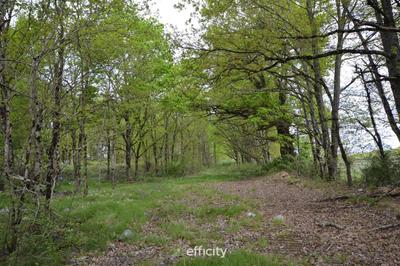 Maison traditionnelle - 159 m² - 4 pièces