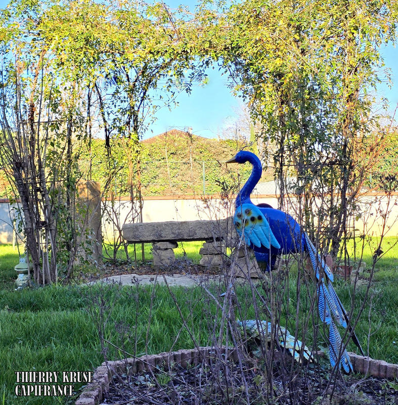 Maison - 109 m² - 4 pièces