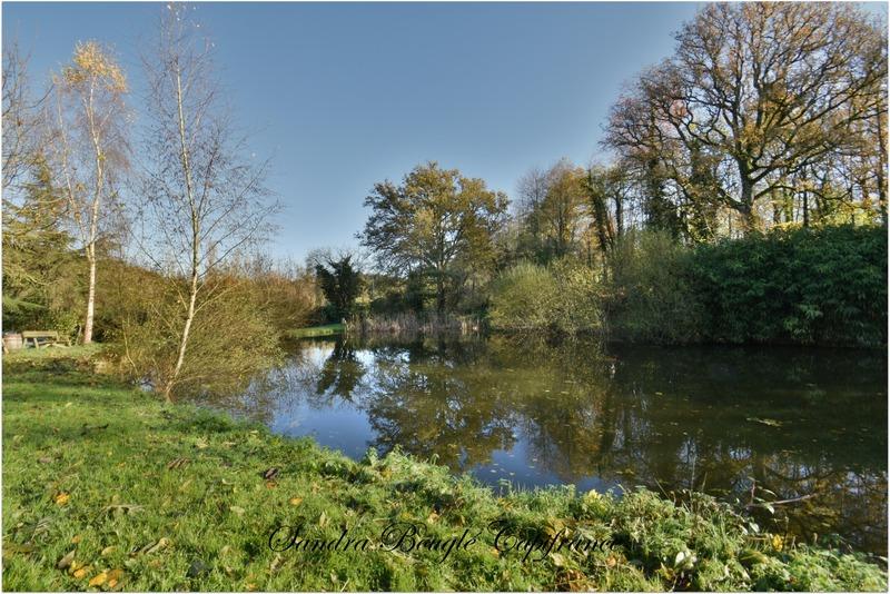 Maison en pierre - 174 m² - 10 pièces