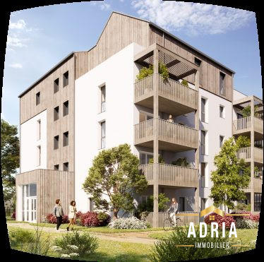 Appartement - 55 m² - 3 pièces