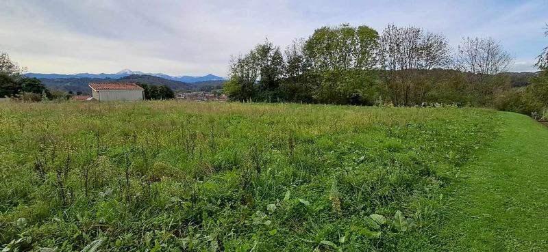 Terrain constructible - 1 708 m²
