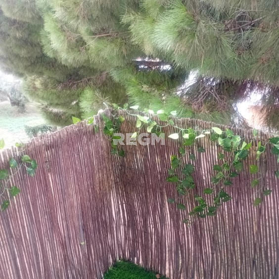 Appartement - 76 m² - 4 pièces