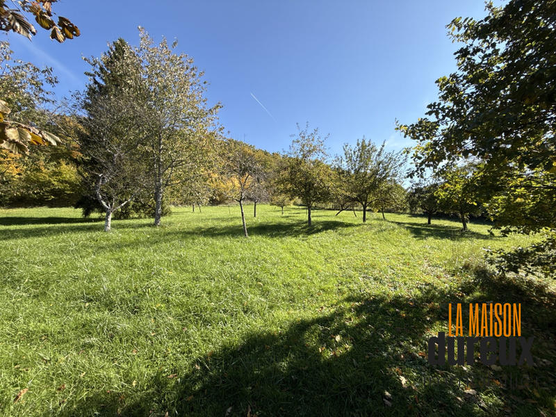 Maison ancienne - 327 m² - 9 pièces