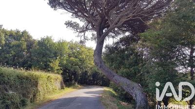 Terrain - 84 715 m²