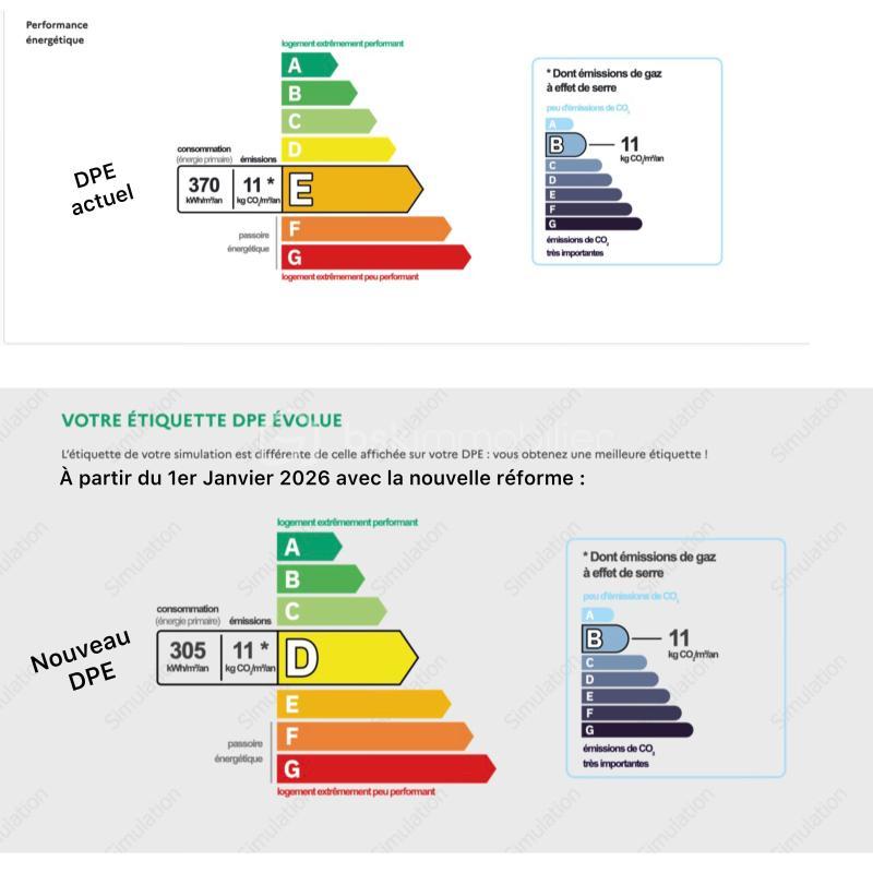 Studio - 15 m² - 1 pièce