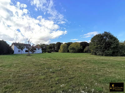 Maison ancienne - 230 m² - 8 pièces