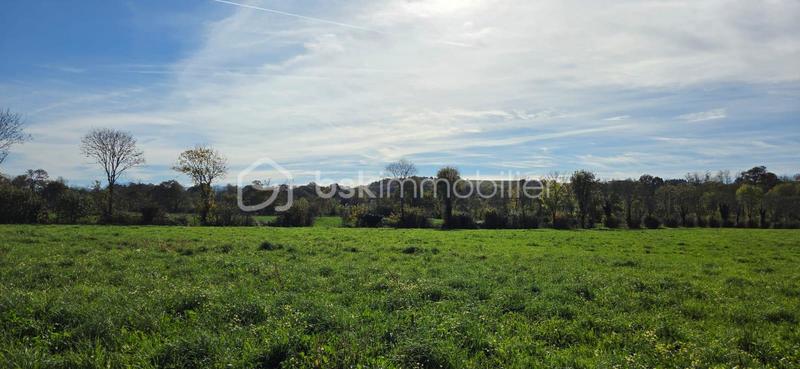 Terrain - 1 034 m²