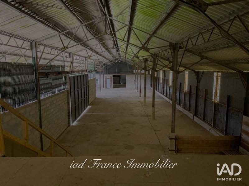 Local commercial - 730 m²