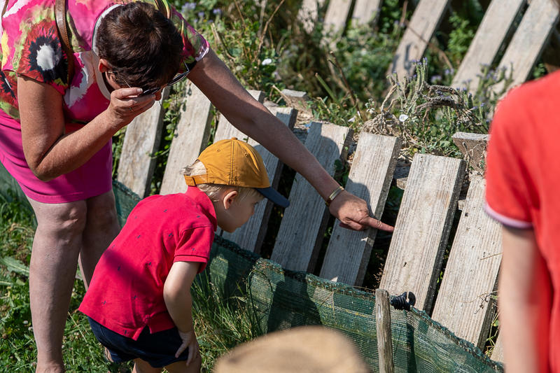 Visite d'un élevage d'escargots