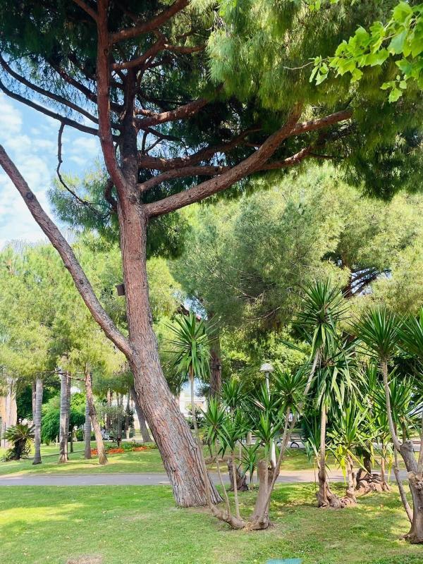 Duplex - 52 m² - 3 pièces