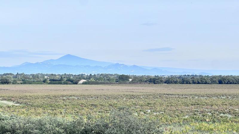 Pavillon - 143 m² - 5 pièces