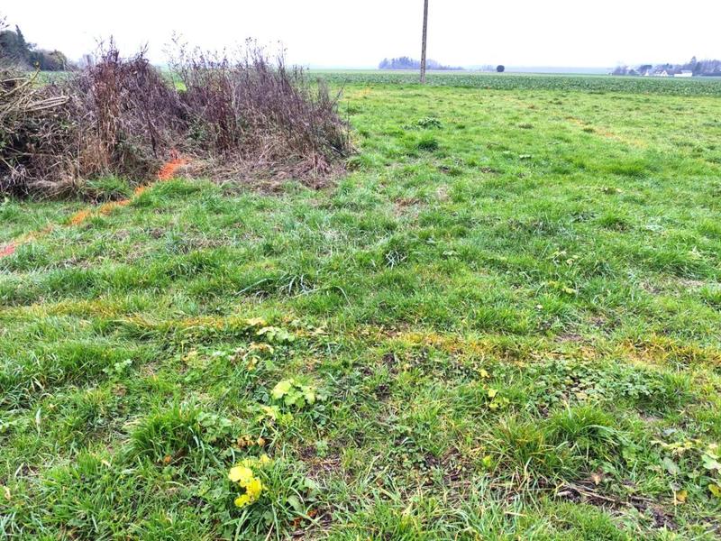 Bureau - 81 m² - 1 pièce