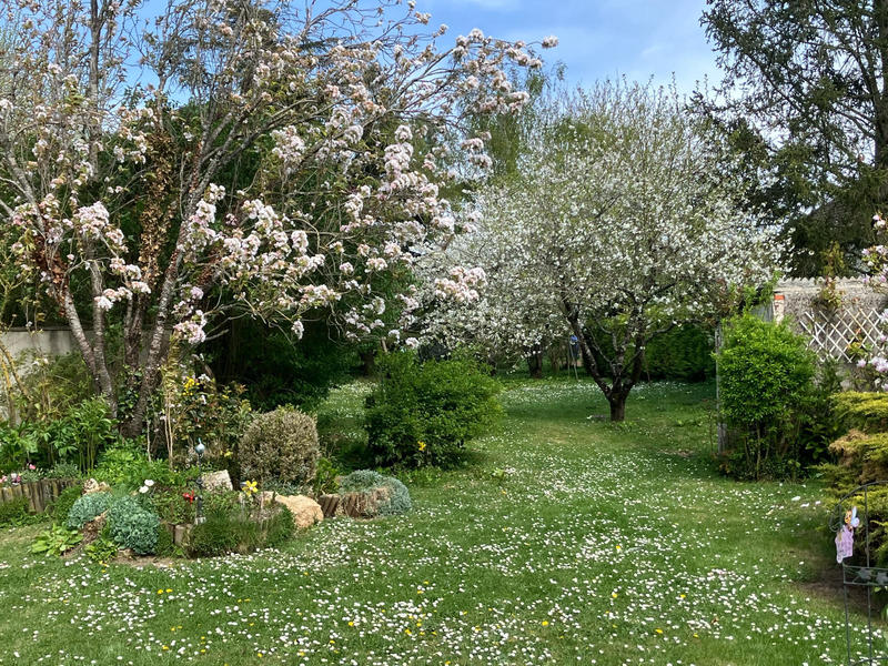 Maison - 110 m² - 4 pièces