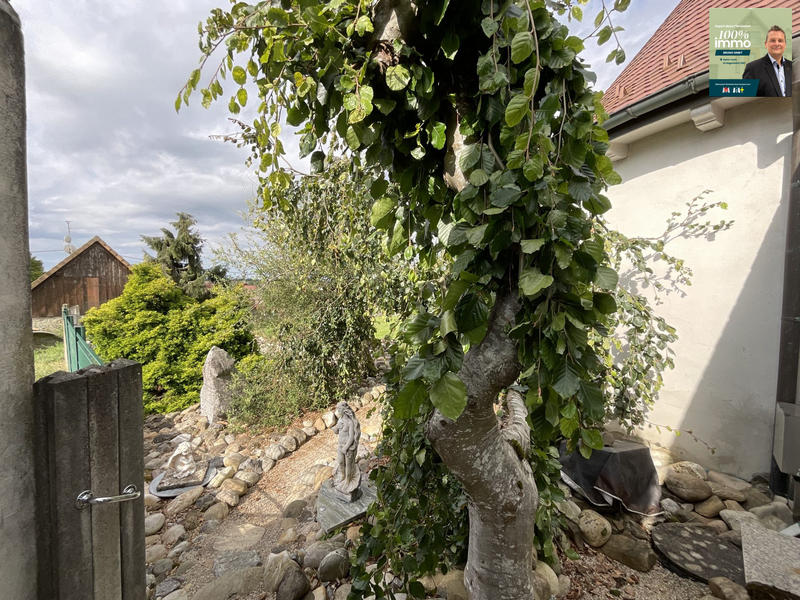 Maison - 195 m² - 7 pièces