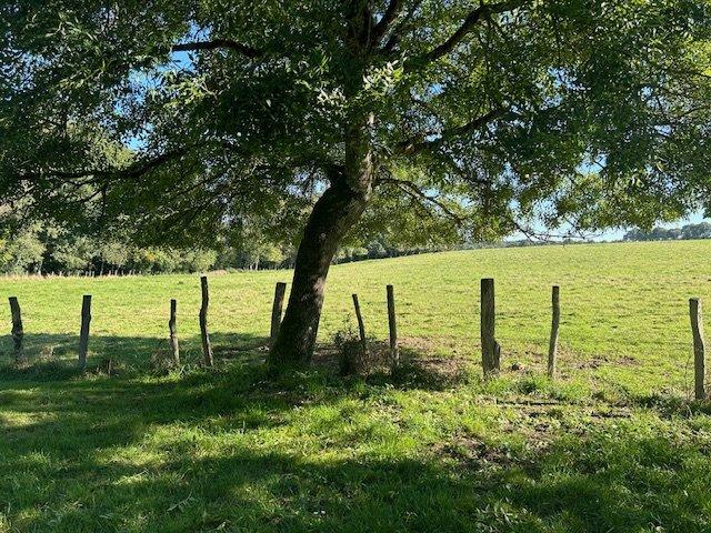 Longère - 125 m² - 7 pièces