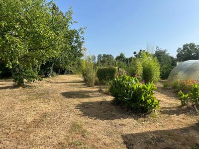 Maison - 103 m² - 5 pièces