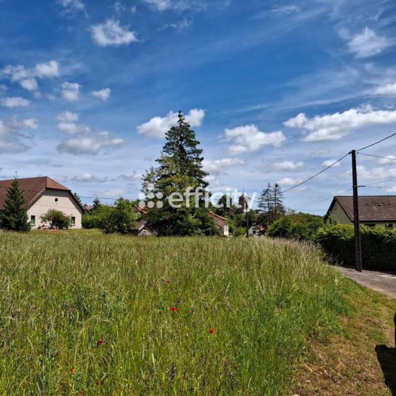 Terrain - 1 534 m²