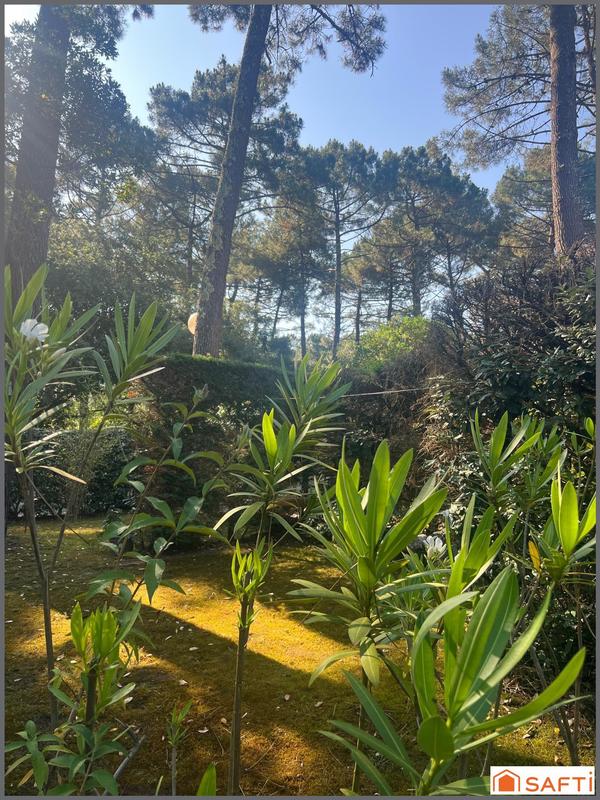 Maison - 37 m² - 3 pièces