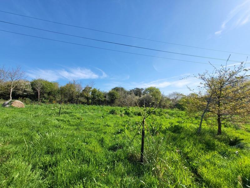 Hangar - 520 m² - 1 pièce