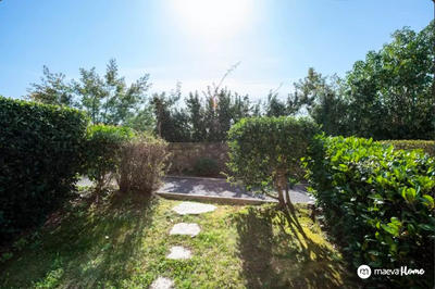 Appartement - 35 m² - 3 pièces