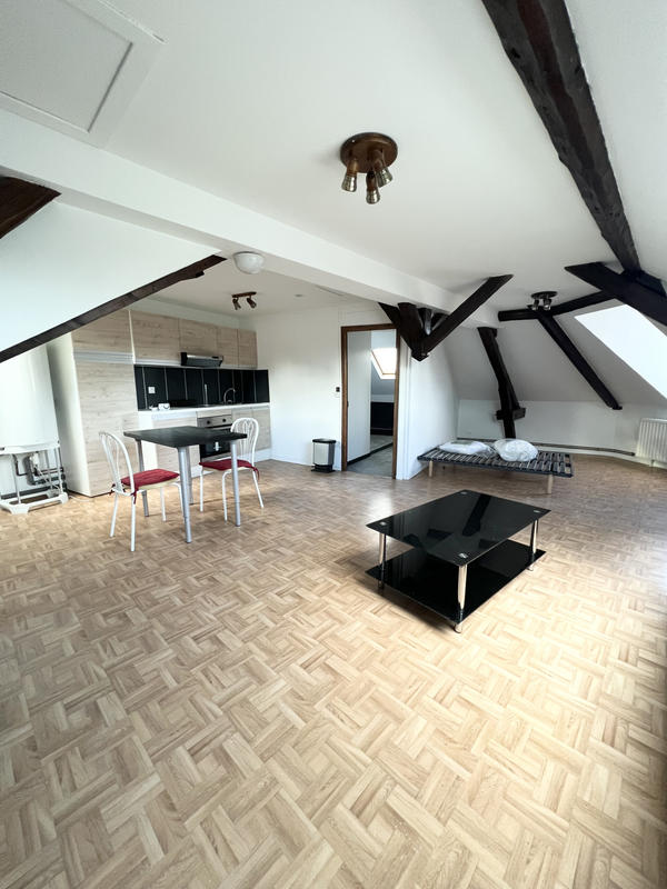 Loft - 49 m² - 2 pièces