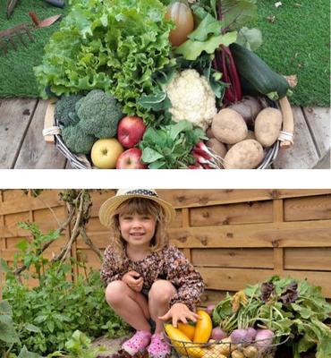 Aux Serres Hermitoises