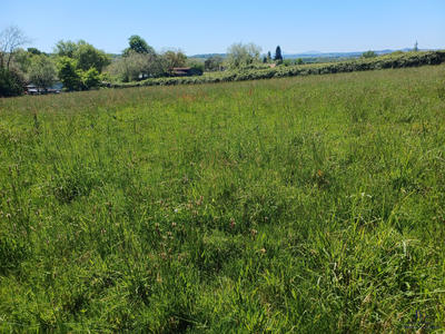 Terrain agricole - 7 120 m²