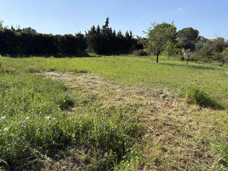 Terrain - 770 m²