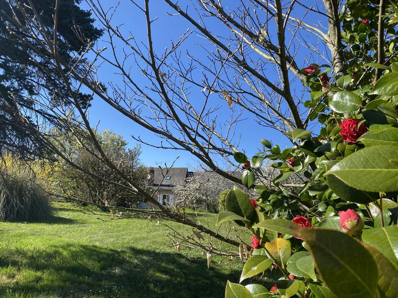 Maison ancienne - 205 m² - 8 pièces