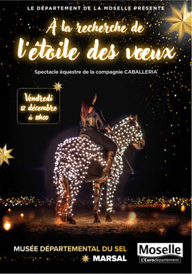 Spectacle équestre - a la recherche de l'étoile des voeux