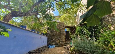 Maison traditionnelle - 290 m² - 6 pièces