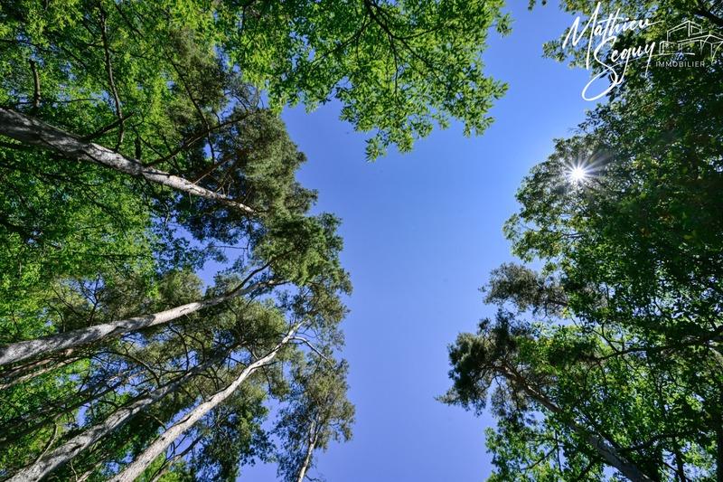 Terrain constructible - 810 m²