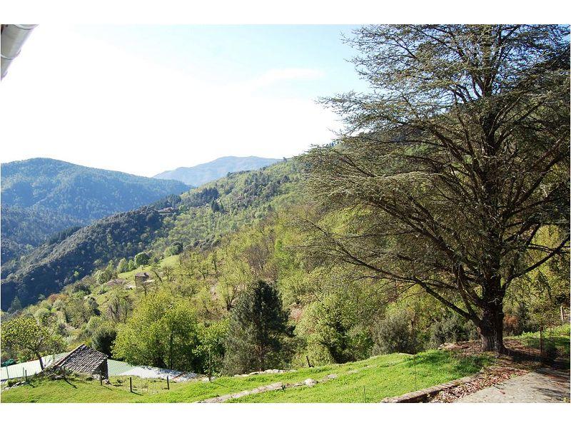 Mas - 270 m² - 10 pièces